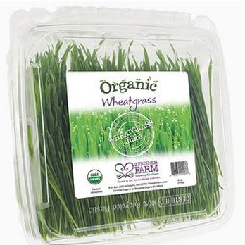 2 Friends Farm - Organic Wheatgrass - Grocery Near Me - Attleboro, Massachusetts 2 Friends Farm - Organic Wheatgrass - Grocery Near Me - Attleboro, Massachusetts