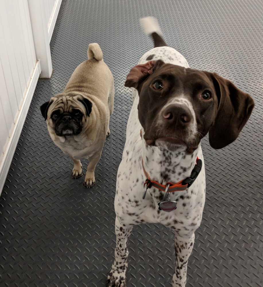 MUTT NUTS Updated September 2024 21 Photos 7224 Ave N