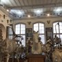 Photo of Musée Fragonard