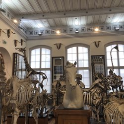 Musée Fragonard