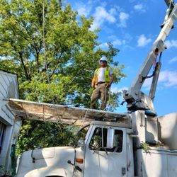 Ruben Tree Services