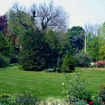 Holden Green Turf - a garden with trees, shrubs, and flowers - Landscaping Near Me Holden Green Turf - a garden with trees, shrubs, and flowers - Landscaping Near Me