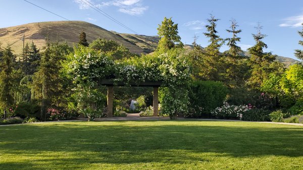Red Butte Garden and Arboretum by null