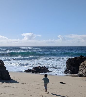 Garrapata State Park by null