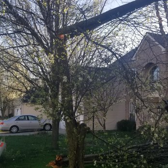 Rogers Tree Service & Landscaping - Tree Services Near Me Rogers Tree Service & Landscaping - Tree Services Near Me
