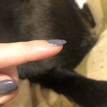 Sodo Nail Lash Bar - The finish on another finger is really uneven. - Eyelash Service Near Me - Orlando, Florida Sodo Nail Lash Bar - The finish on another finger is really uneven. - Eyelash Service Near Me - Orlando, Florida