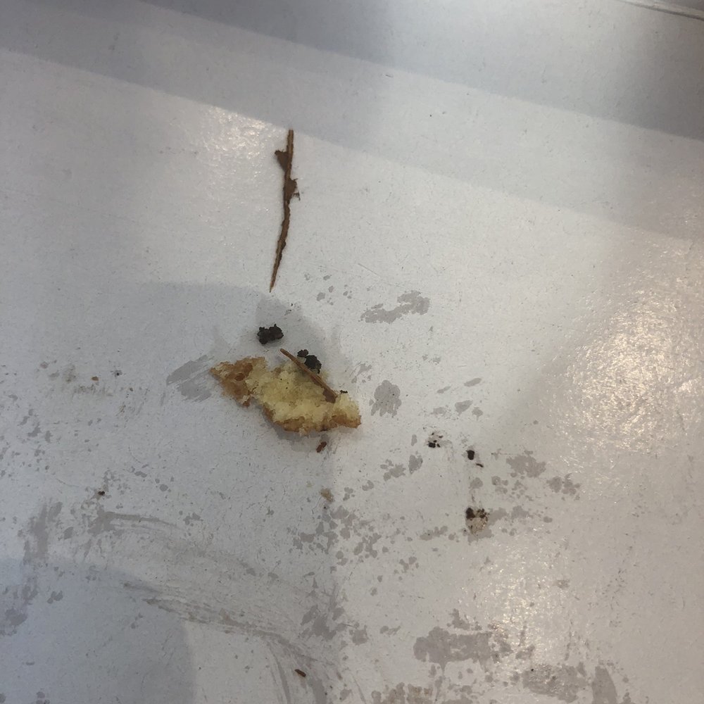 Duck Donuts - Wooden splinter - Donuts Near Me - Paramus, New Jersey Duck Donuts - Wooden splinter - Donuts Near Me - Paramus, New Jersey