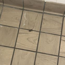 KFC - Roach in the restroom