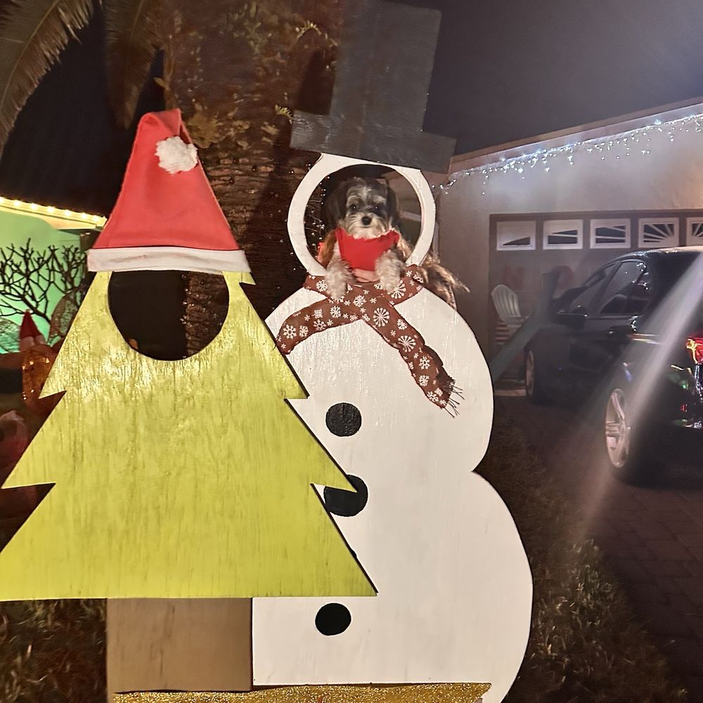 Candy Cane Lane - Public Art Near Me