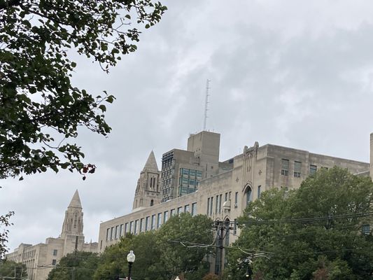 Boston University by null