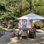 Photo of Hyde Park Landscape & Tree Service