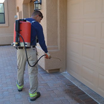 911 Pest Defense - Pest Control Near Me