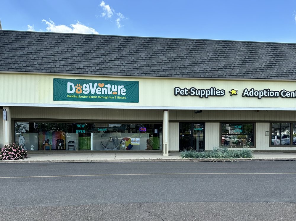 Dogventure Image