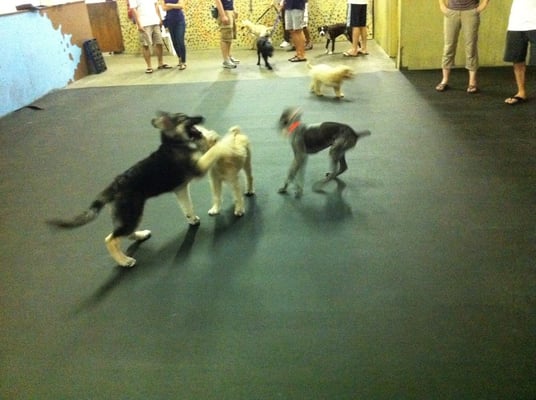 Crate Escape by null