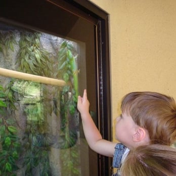 Micke Grove Zoo - Zoos Near Me - Lodi, California
