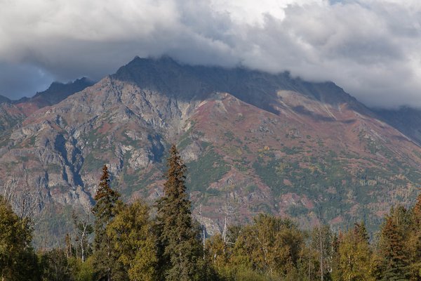 Alaska Backcountry Cottages by null