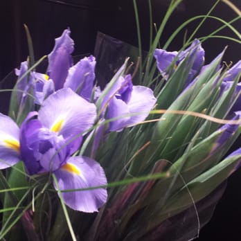 Costco - A bunch of lovely purple irises, but I want to buy live plants,  not dead ones! - Wholesale Stores Near Me - Scottsdale, Arizona