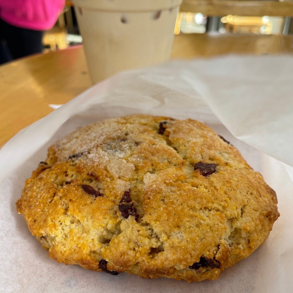 Yali's Oxford Street Cafe - Scone - Cafes Near Me - Berkeley, California Yali's Oxford Street Cafe - Scone - Cafes Near Me - Berkeley, California