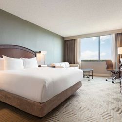 Hilton East Brunswick Hotel & Executive Meeting Center - Guest room