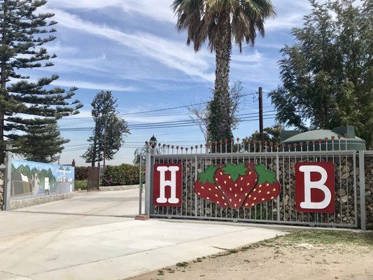 Harry's Berries by null