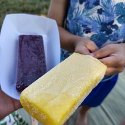 The Great Forest Park Balloon Race - Fantastick Pop - popsicle vendor (blueberry lemonade and pineapple mango)