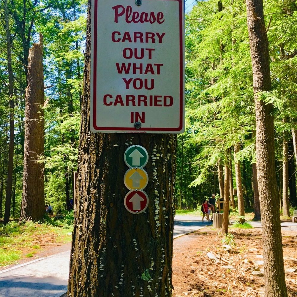 Bushkill Falls - Colors code are embedded in trees which let you know that whether you are on right or wrong trail. - Tours Near Me - Bushkill, Pennsylvania Bushkill Falls - Colors code are embedded in trees which let you know that whether you are on right or wrong trail. - Tours Near Me - Bushkill, Pennsylvania