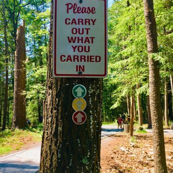 Bushkill Falls - Colors code are embedded in trees which let you know that whether you are on right or wrong trail. - Tours Near Me - Bushkill, Pennsylvania