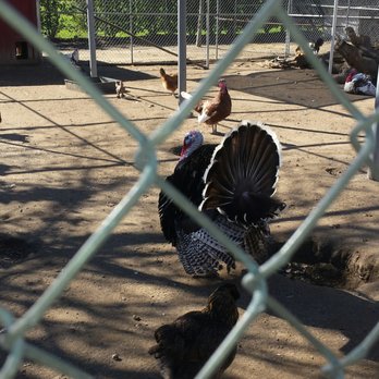 Bates Nut Farm - Big bird is in town - Specialty Food Near Me - Valley Center, California Bates Nut Farm - Big bird is in town - Specialty Food Near Me - Valley Center, California