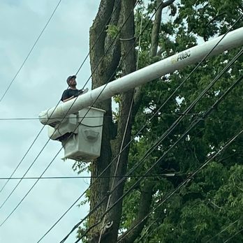 General Tree Company - Tree Services Near Me - New Carlisle, Ohio General Tree Company - Tree Services Near Me - New Carlisle, Ohio