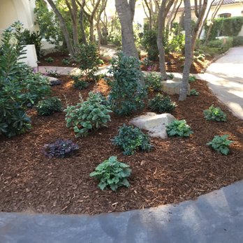 Del Monte Landscaping - Front of the house with a new landscape installation with the various trees trimmed for a more open non cluttered look - Landscaping Near Me Del Monte Landscaping - Front of the house with a new landscape installation with the various trees trimmed for a more open non cluttered look - Landscaping Near Me