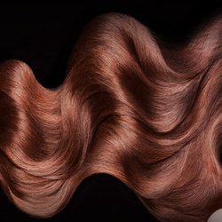 Signature's The Salon