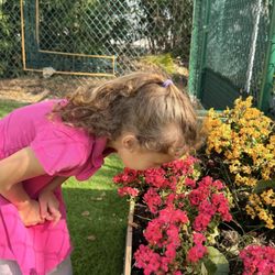 Artec Academy - Garden for children at Artec Academy