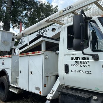 Busy Bee Tree Service - 60ft bucket truck with material handler - Tree Services Near Me Busy Bee Tree Service - 60ft bucket truck with material handler - Tree Services Near Me