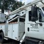 Busy Bee Tree Service