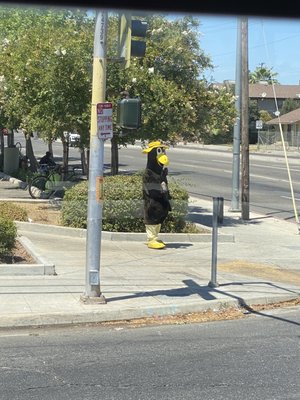 CVS PHARMACY - Updated January 2026 - 31 Photos & 24 Reviews - 1325 W ...