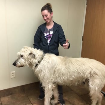 Portage Veterinary Clinic - Veterinarians Near Me - Portage, Wisconsin Portage Veterinary Clinic - Veterinarians Near Me - Portage, Wisconsin