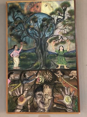 Casa de los Venados by null