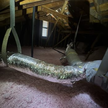 Handyman Rodent Proofing - Pest Control Near Me - Pittsburg, California