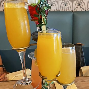 Dolly's - Mimosa tree - Cocktail Bars Near Me - New York, New York Dolly's - Mimosa tree - Cocktail Bars Near Me - New York, New York