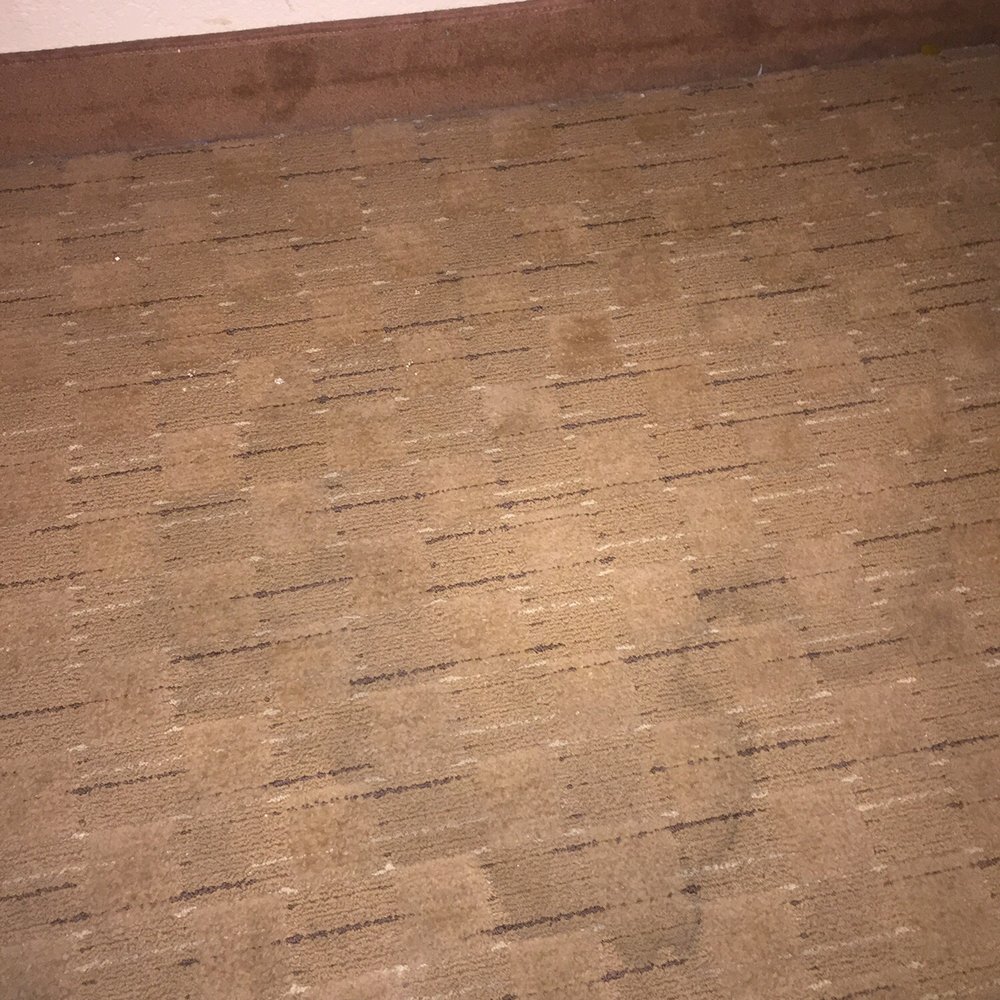 Tropicana Laughlin - A Caesars Rewards Destination - Filthy carpet - Hotels Near Me - Laughlin, Nevada Tropicana Laughlin - A Caesars Rewards Destination - Filthy carpet - Hotels Near Me - Laughlin, Nevada