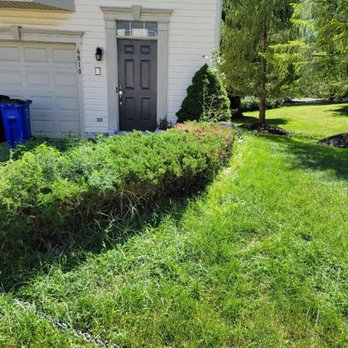 Ridleys Landscaping - Before - Landscaping Near Me