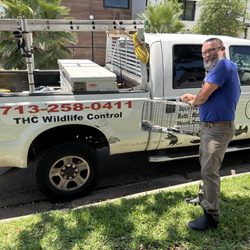 The Humane Choice Wildlife Control - THC Wildlife Control with the catch of the day! Possum!