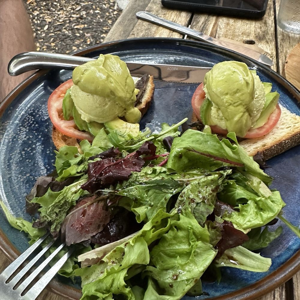 Green Zebra Cafe - sun benedict - Juice Bars & Smoothies Near Me - Sarasota, Florida Green Zebra Cafe - sun benedict - Juice Bars & Smoothies Near Me - Sarasota, Florida