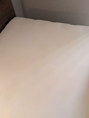 Quality Inn & Suites By the Parks by null