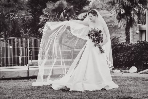 Weddings - Wedding highlights. Weddings - Wedding highlights.