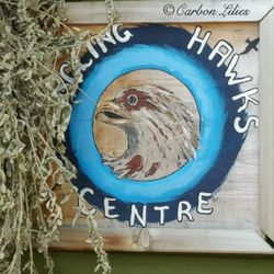 Circling Hawks Centre