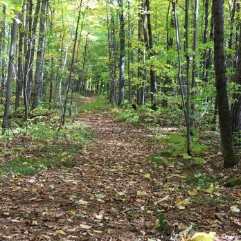 Copper Falls State Park - Isolated trail on backpack path. - Parks Near Me - Mellen, Wisconsin