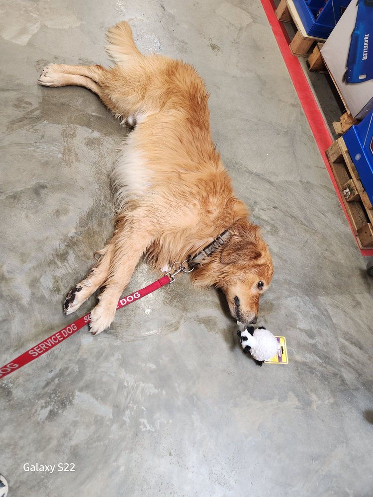 Tractor Supply Image