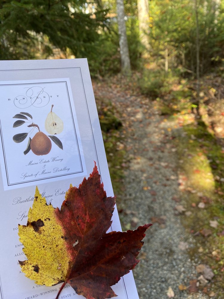 Bartlett Maine Estate Winery - vineyard in Gouldsboro, ME