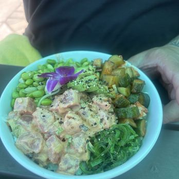 Shaka Shack - Spicy Poke Bowl - Hawaiian Near Me - Alameda, California Shaka Shack - Spicy Poke Bowl - Hawaiian Near Me - Alameda, California